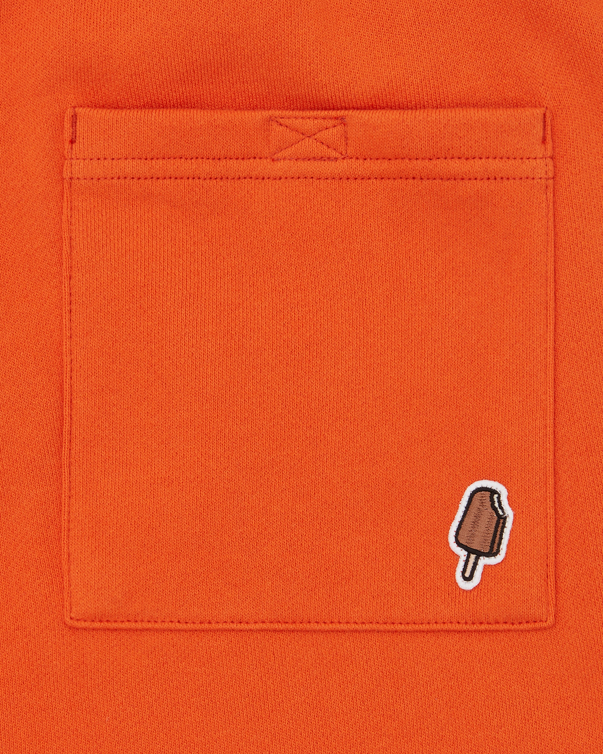 COLLEGIATE PUPPY SHORTS - 4