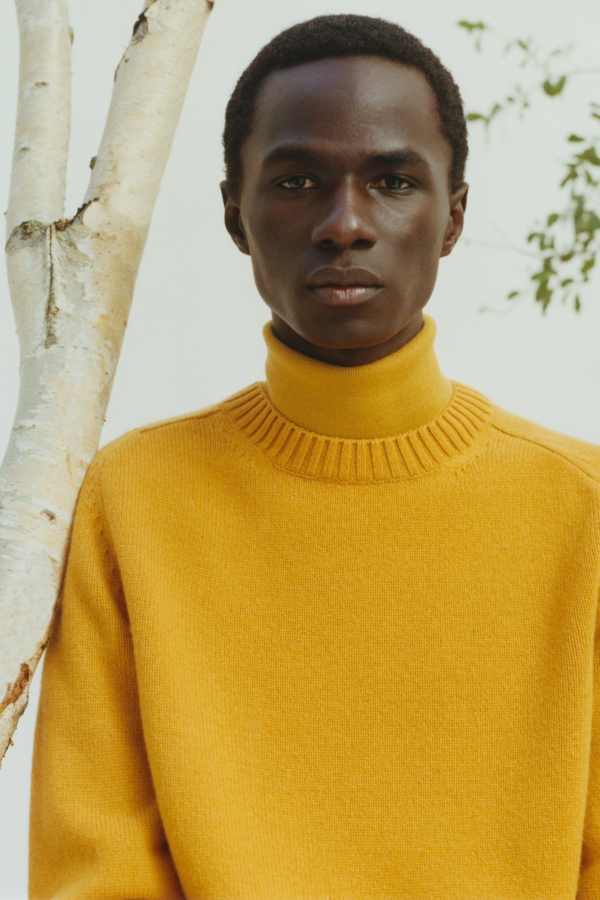 Daniel Knit Sweater in Golden Birch Cashmere - 2