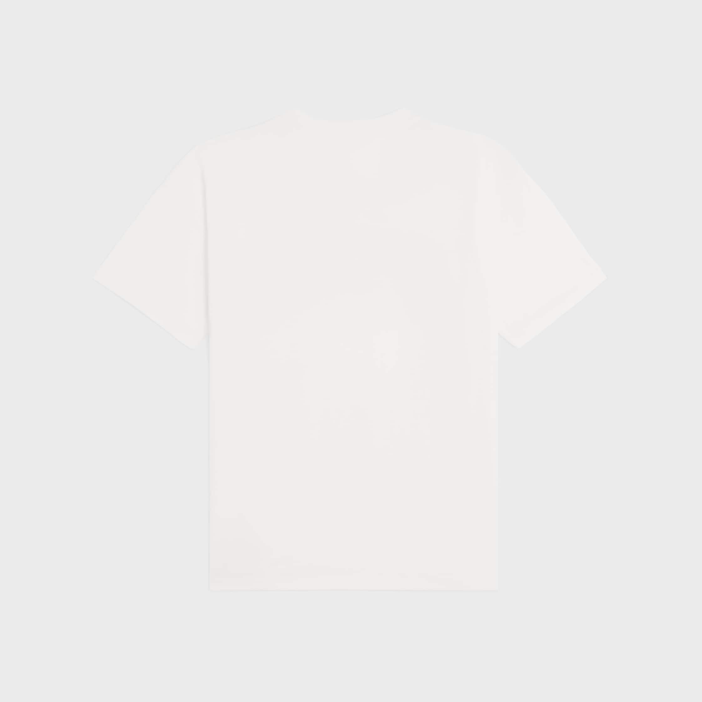 loose t-shirt IN cotton jersey - 2