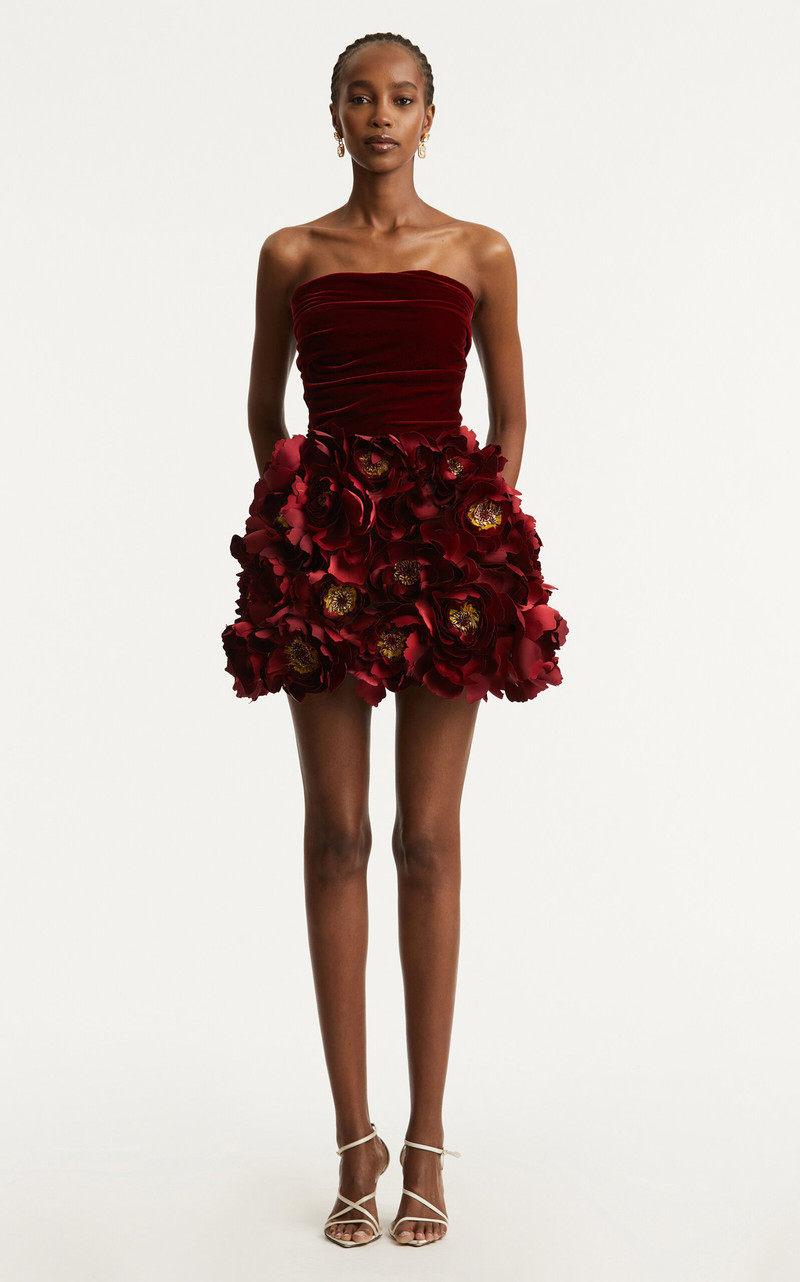 Floral-Appliquéd Velvet Mini Dress red 3