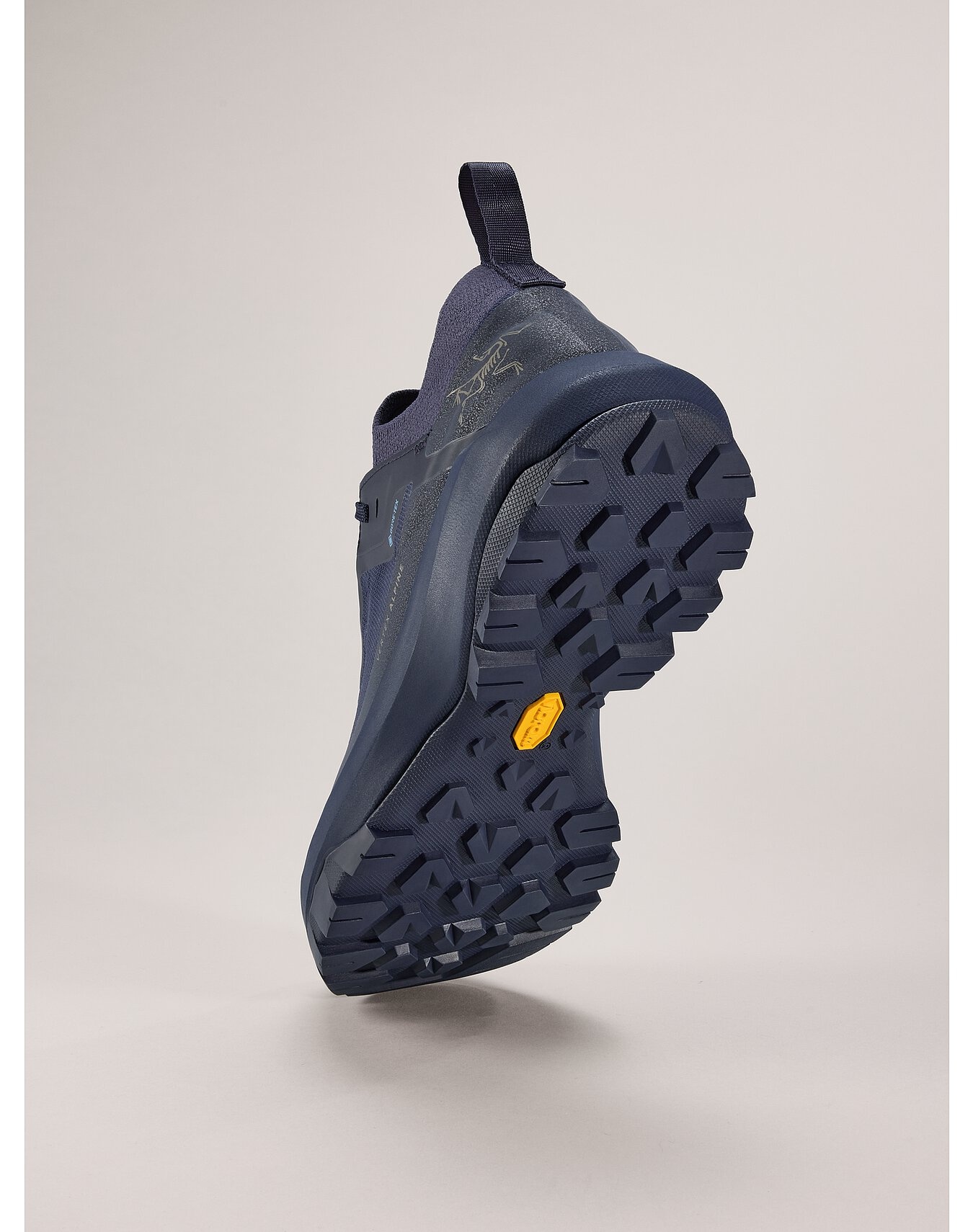Vertex Alpine GTX Shoe - 4