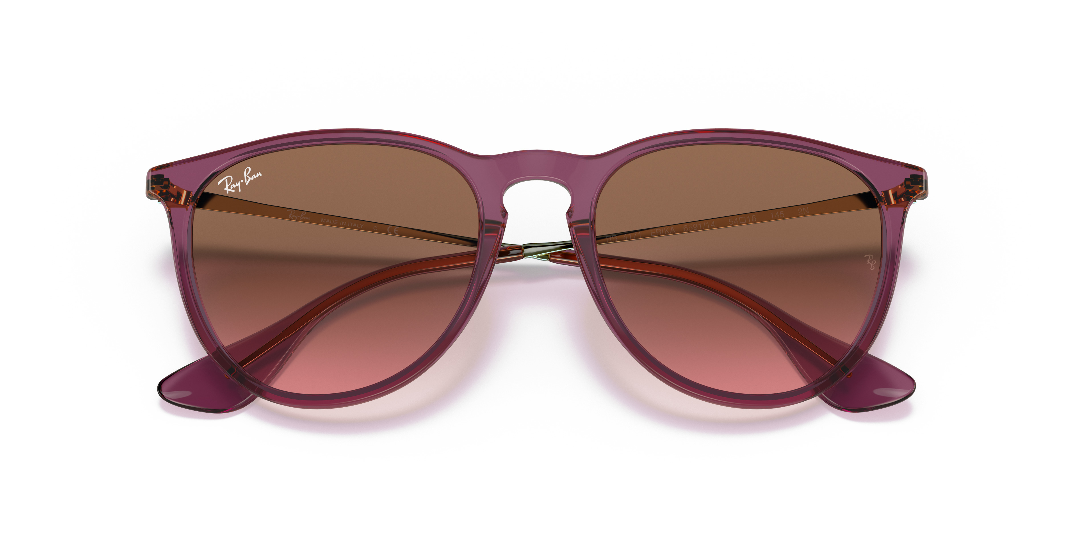 RB4171 Erika Classic - 5