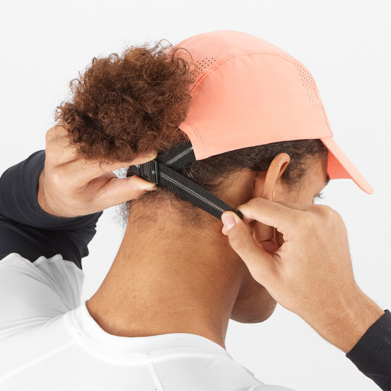 SALOMON CROSS outlook