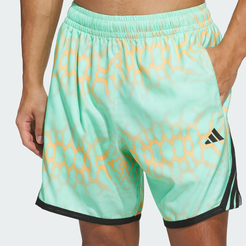CRAZYLITE GRAPHIC SHORT 5