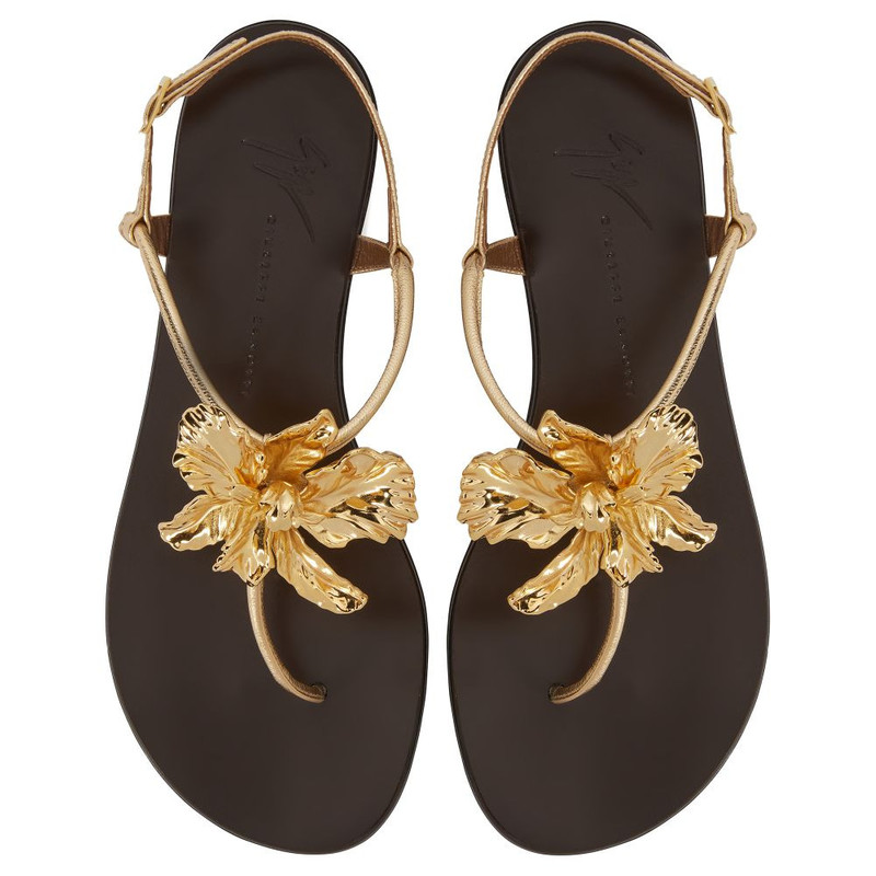 Orchid Flat 4