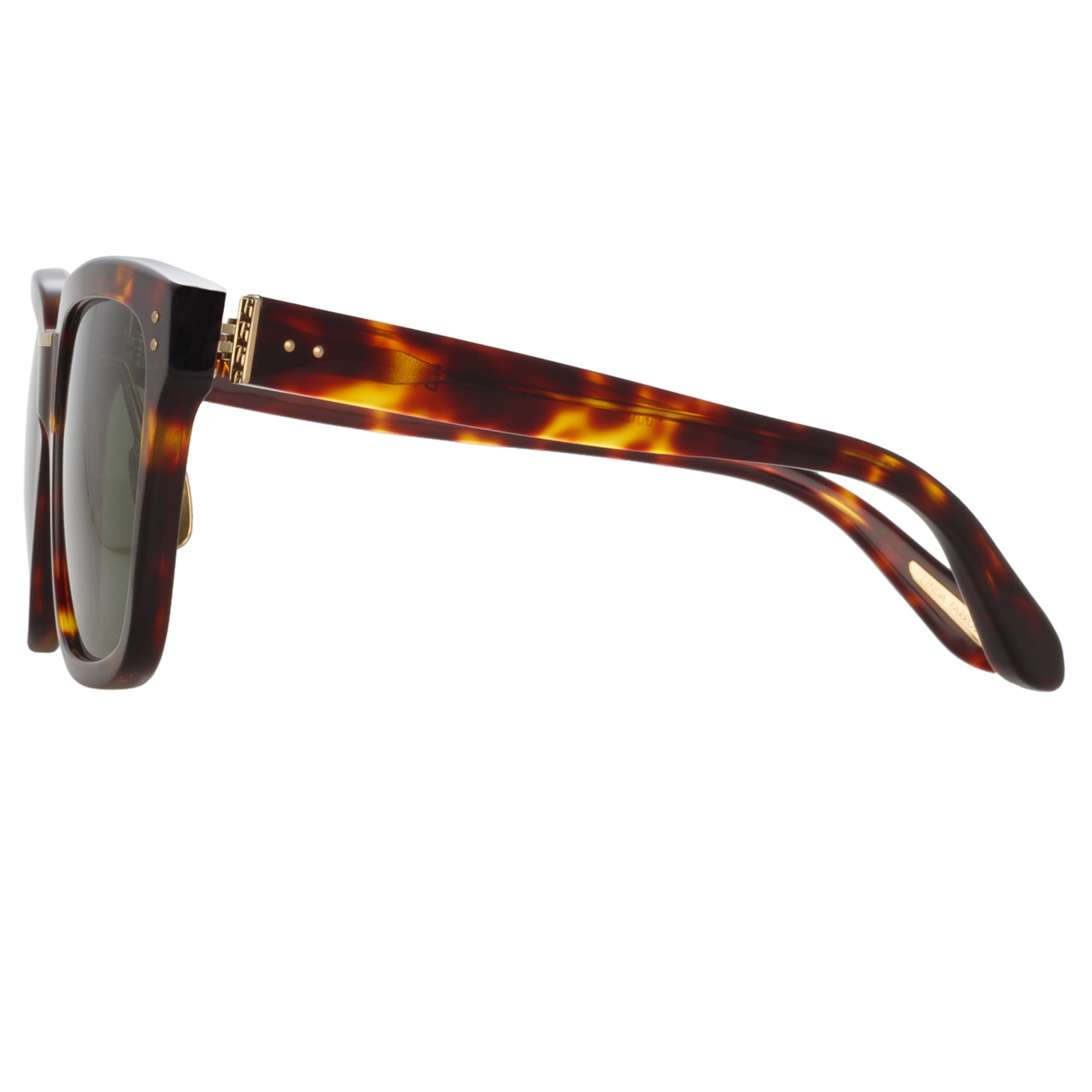 DESIREE D-FRAME SUNGLASSES IN TORTOISESHELL - 3