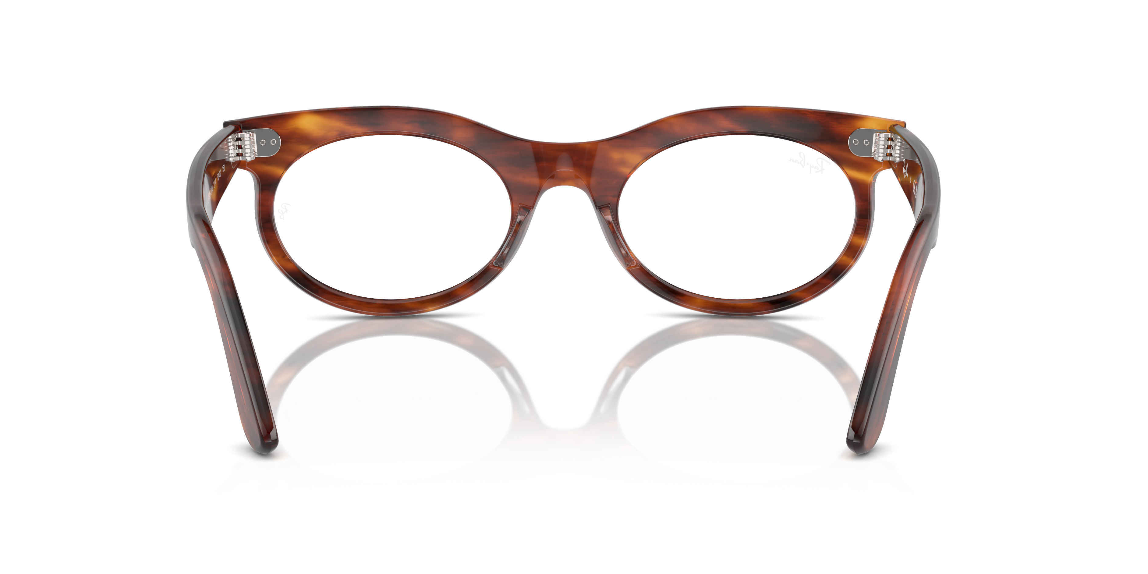 WAYFARER OVAL OPTICS - 6