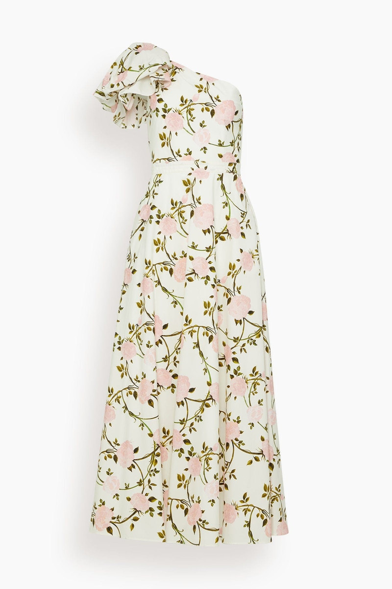 Dress in Ivory/Multi - 1