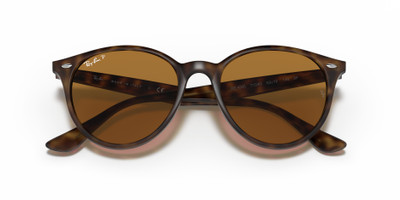 Ray-Ban RB4305 outlook