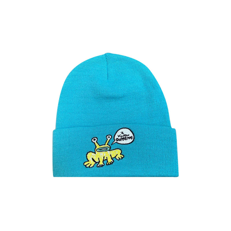 Supreme x Daniel Johnston Beanie 'Turquoise' - 1
