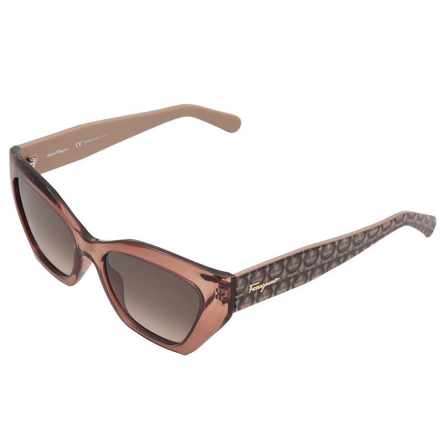 Ferragamo Brown Gradient Cat Eye Ladies Sunglasses SF1043S 232 54 - 4