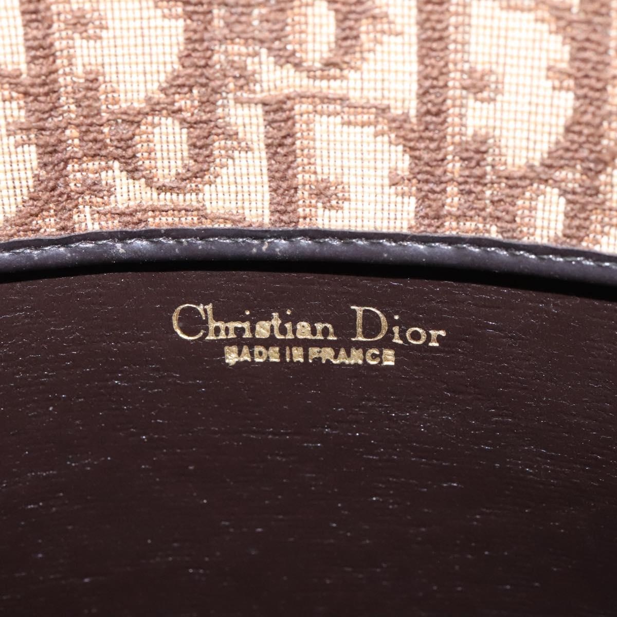 DIOR Trotter Canvas Hand Bag Brown - 15