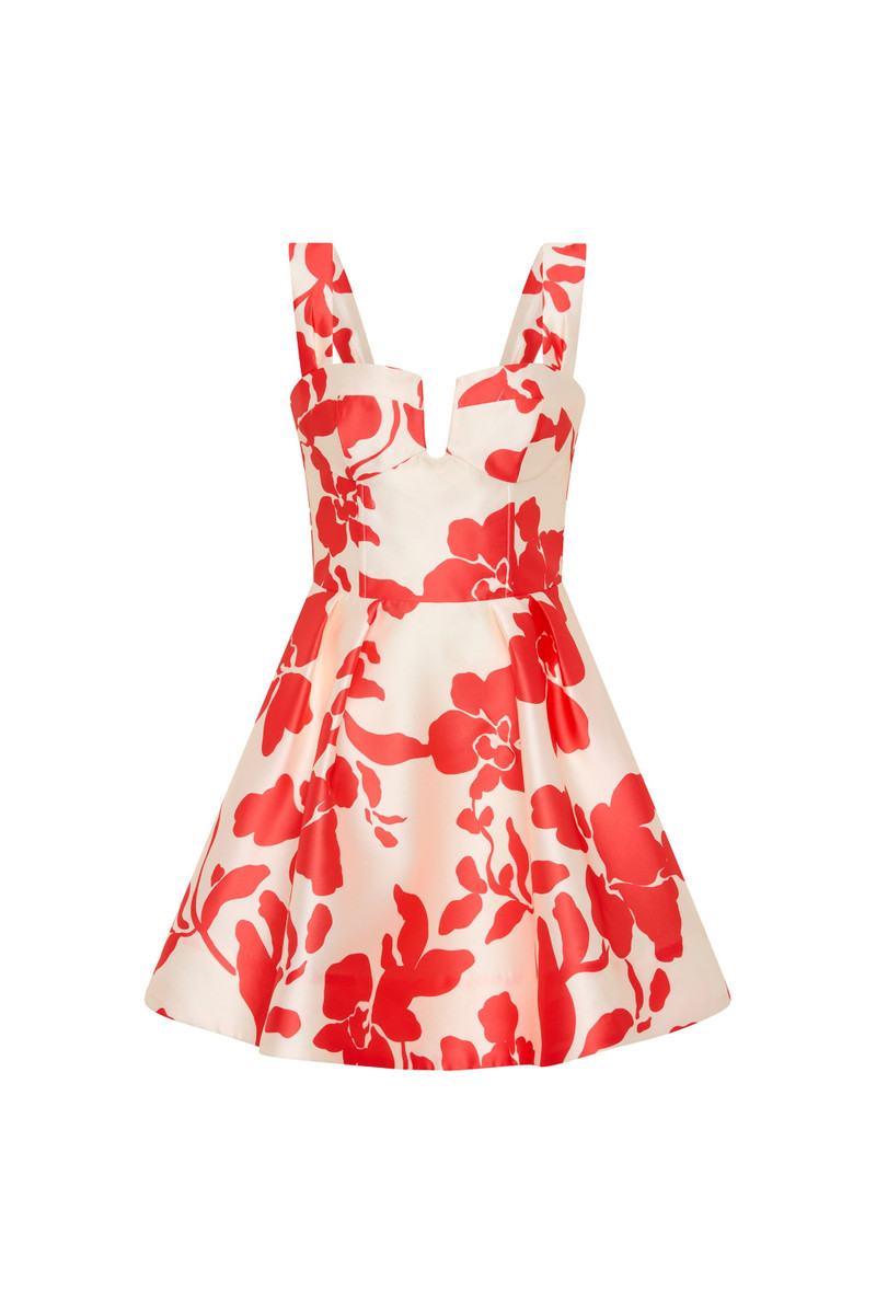 Mayari Mini Dress 1