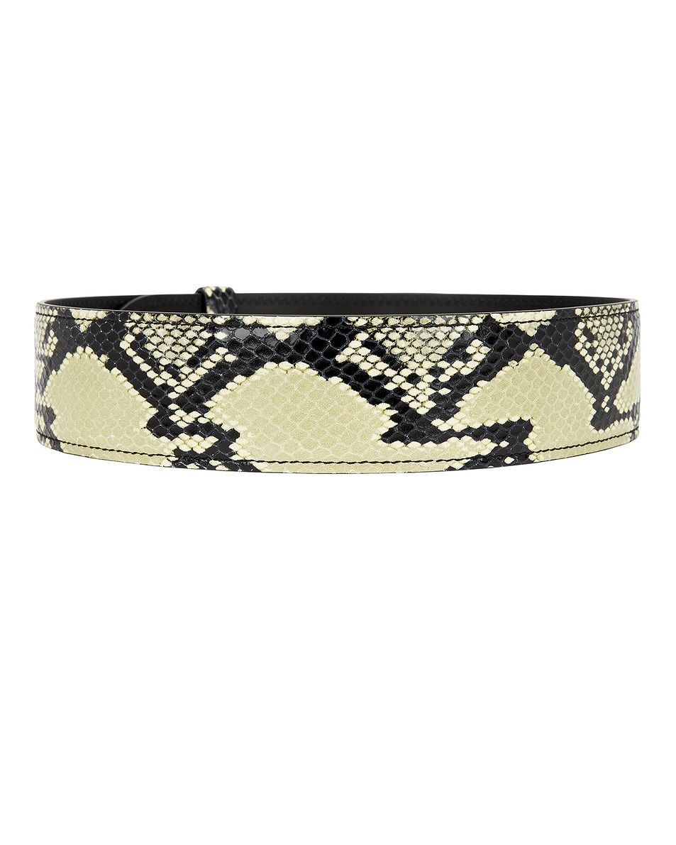 Theo Waist Belt - 2