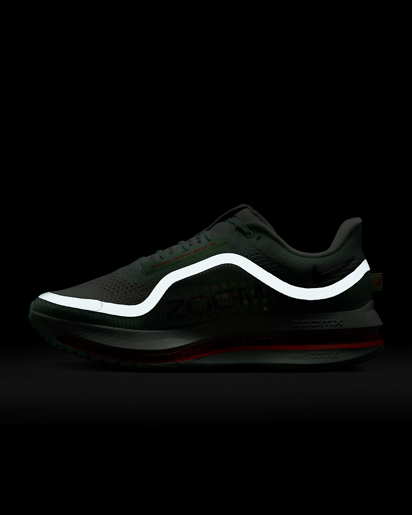 Nike Pegasus Premium Men's Road Running Shoes - 12