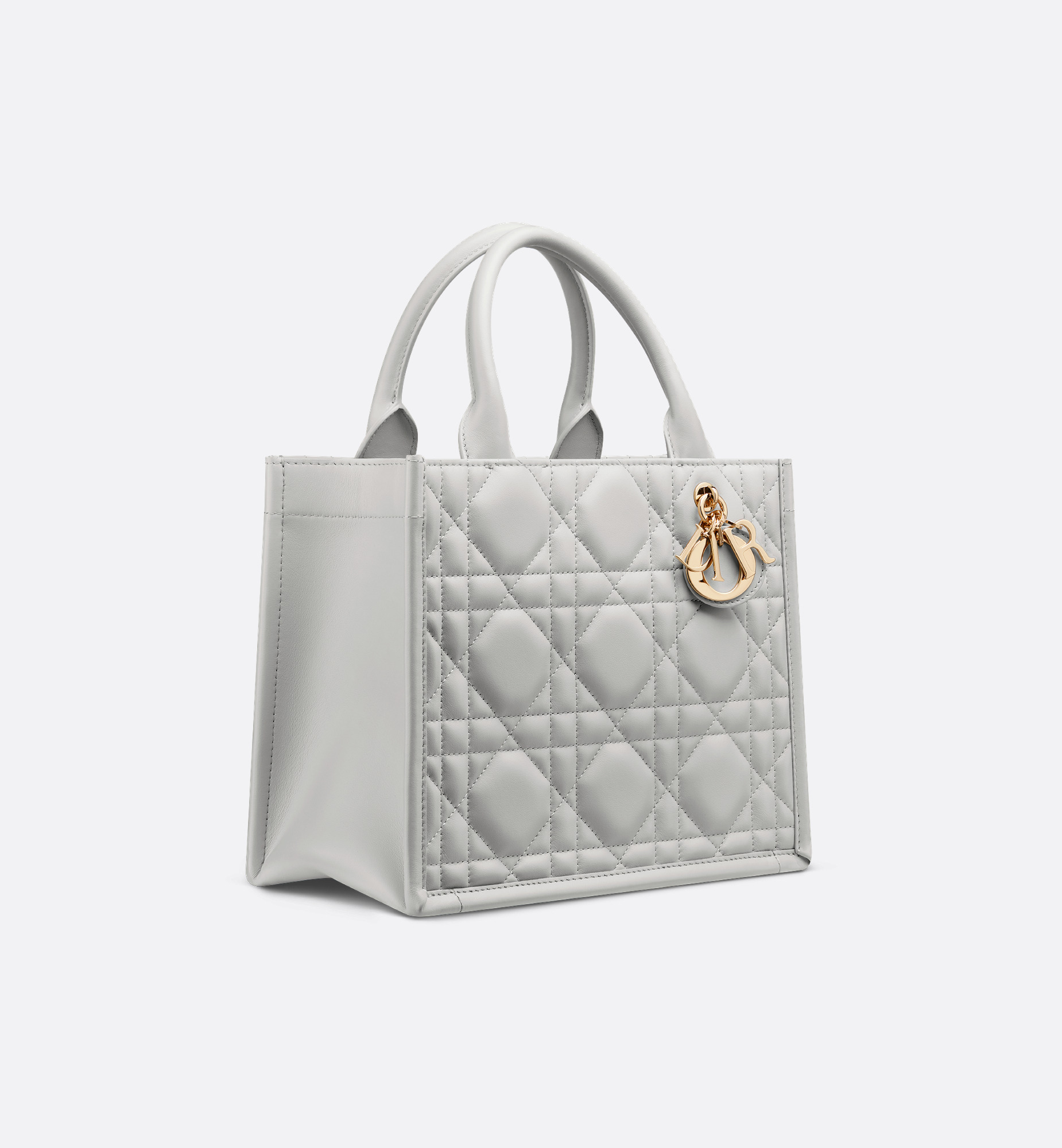Small Dior Book Tote - 3