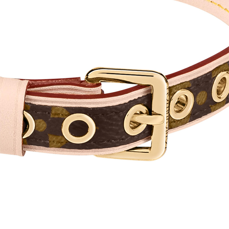 Louis Vuitton Collar PM outlook