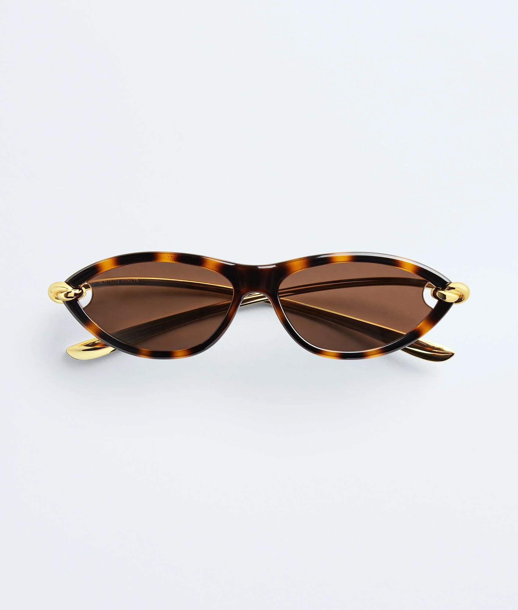 BV1390S Knot Cat Eye Sunglasses - 1