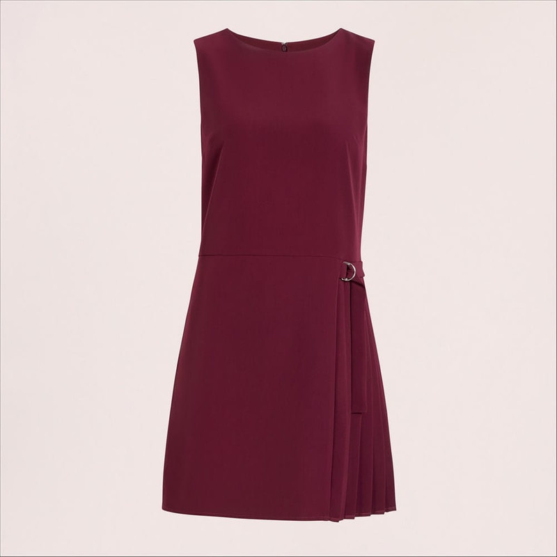Side Pleated Mini Dress 1