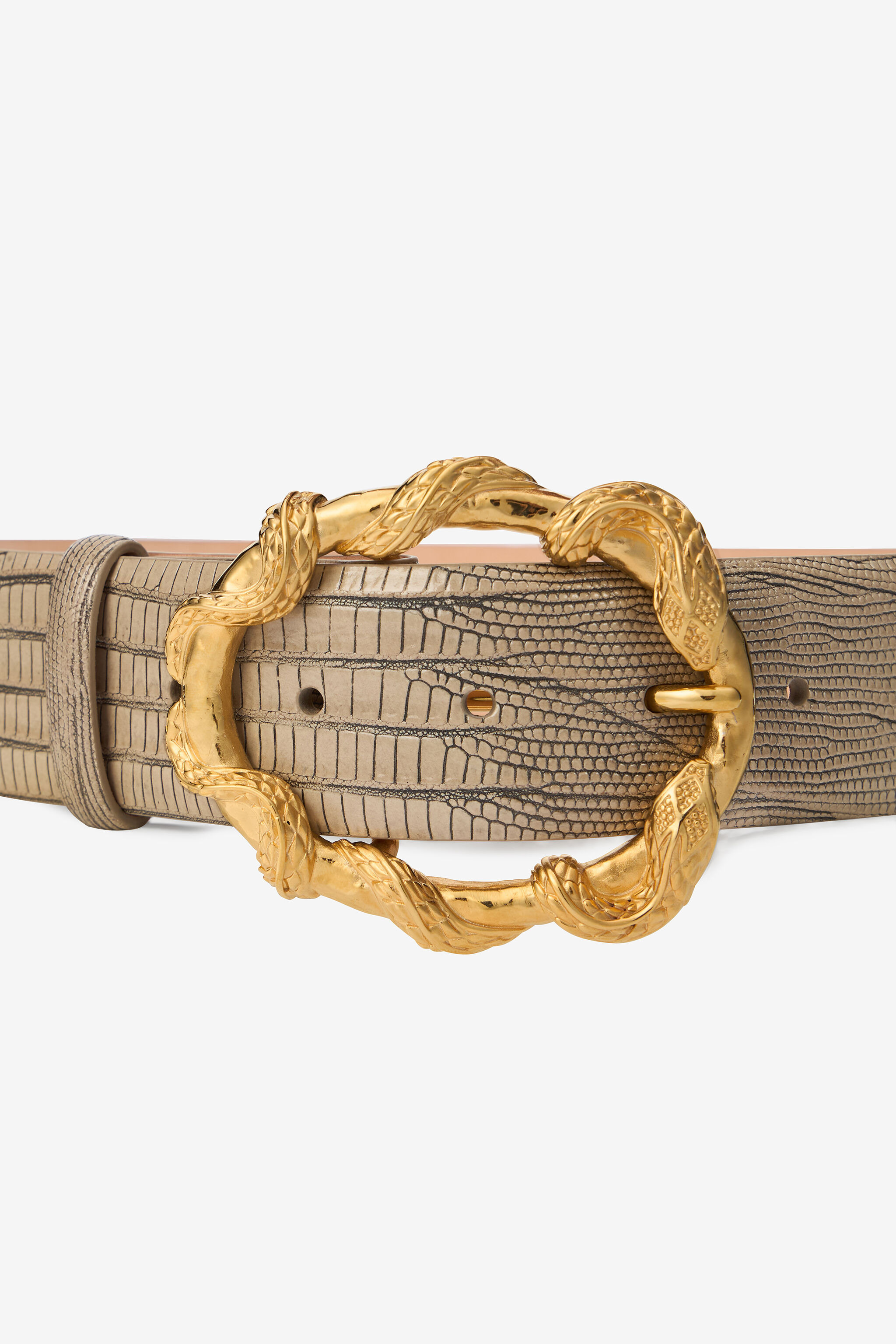 Ivory Belt With Cobra Print And Snake Buckle - 4