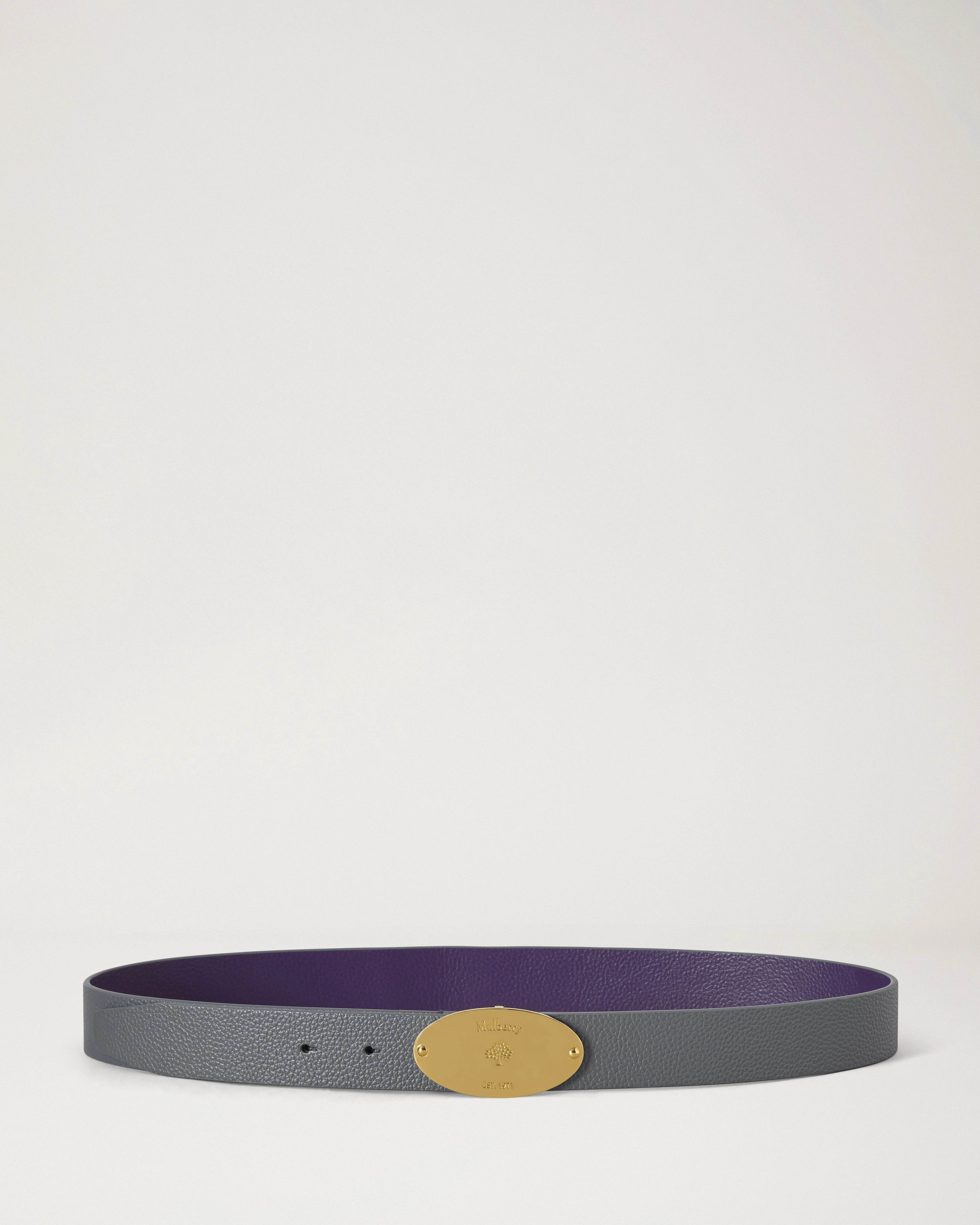 Reversible Plaque Belt Foggy Grey & Amethyst Small Classic Grain - 1