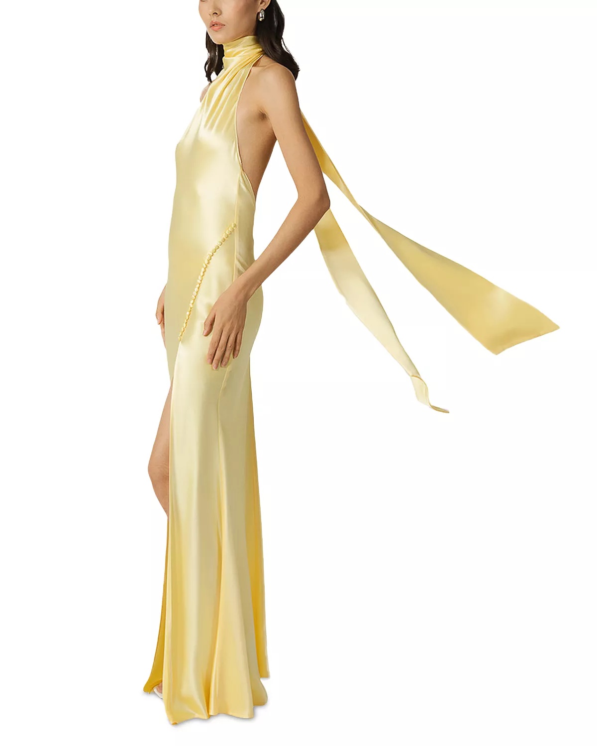 Penelope Satin Halter Neck Gown - 4