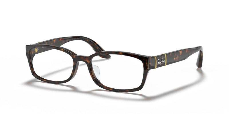 RB5198 OPTICS 1