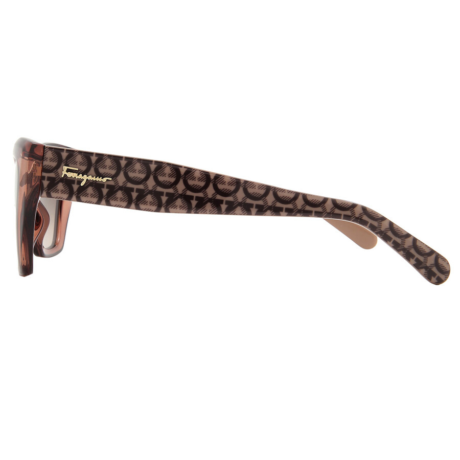Ferragamo Brown Gradient Cat Eye Ladies Sunglasses SF1043S 232 54 - 3