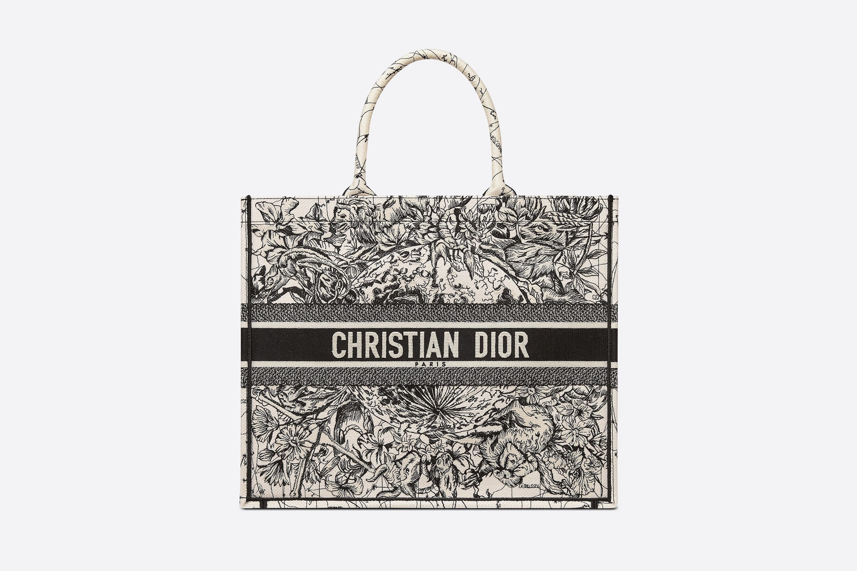 Dior Book Tote - 1