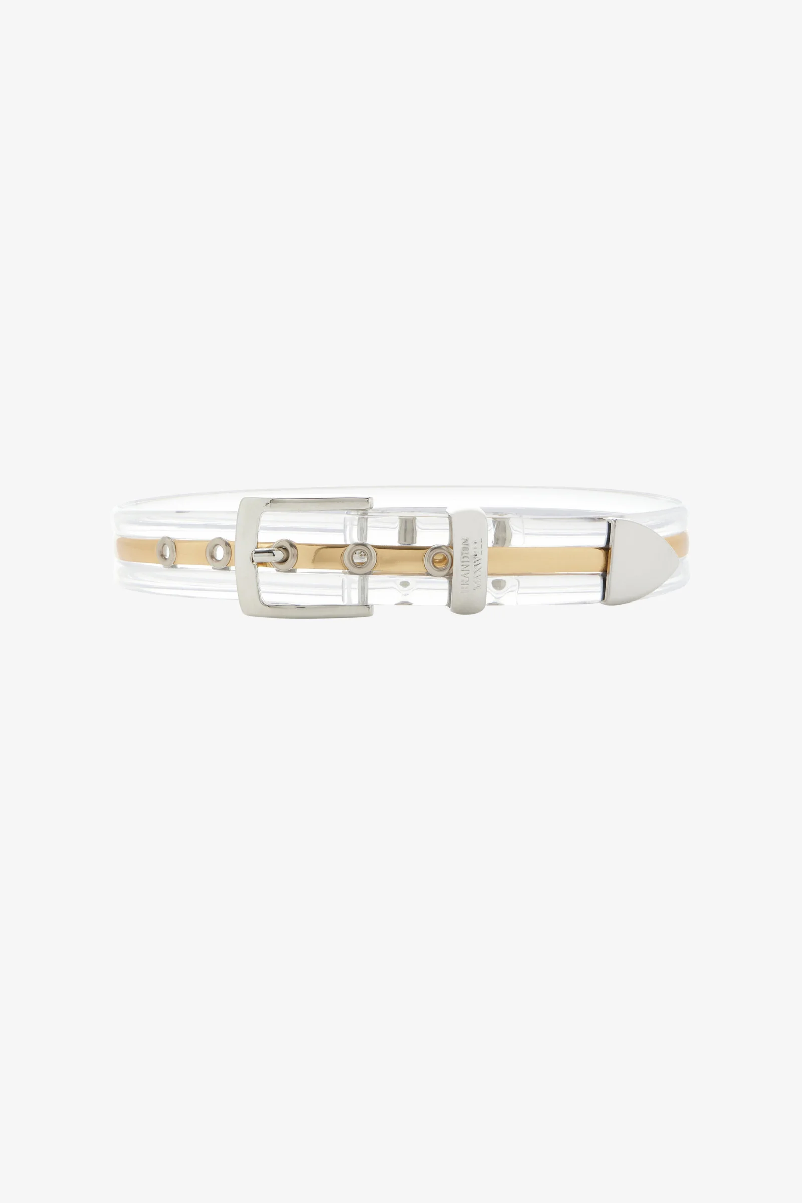 The Transluscent Belt in Gold - 1
