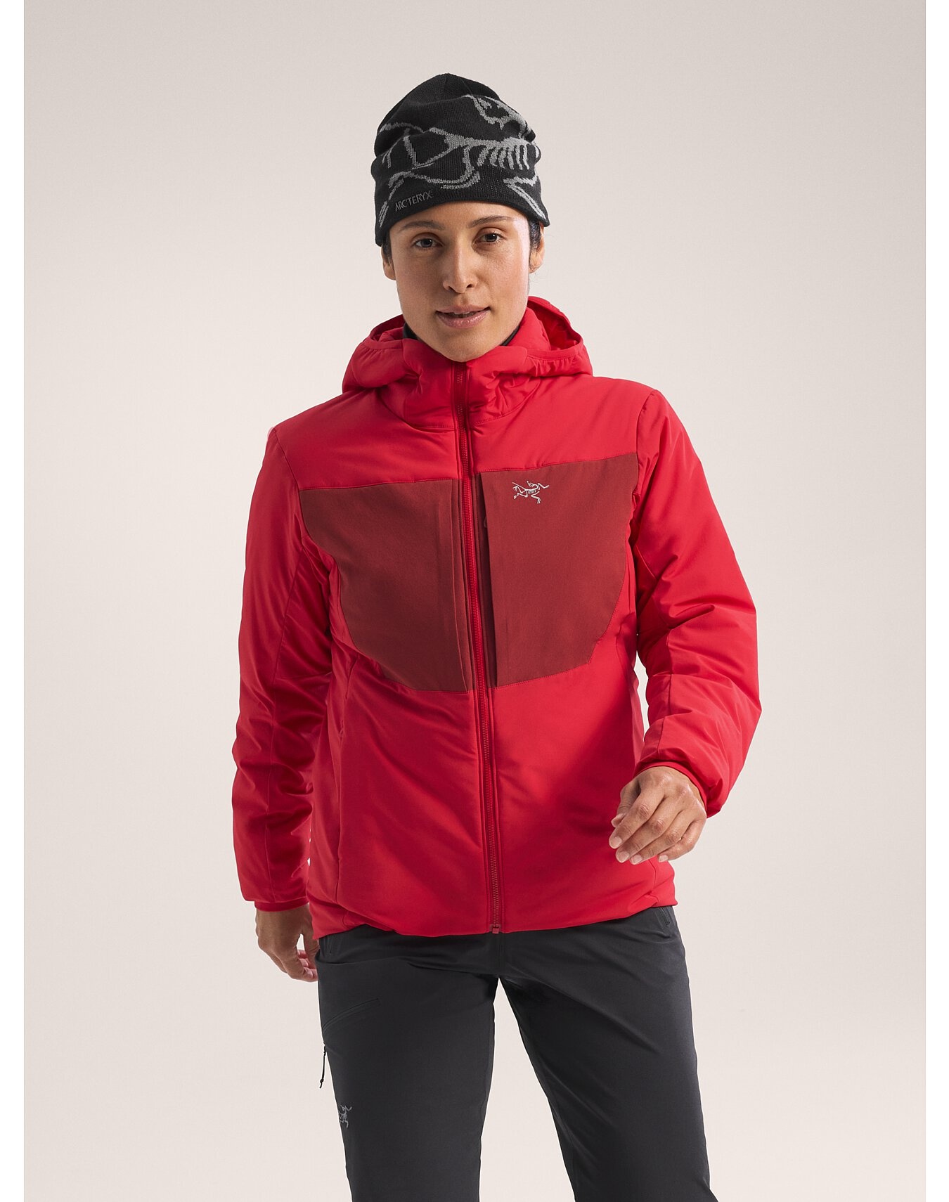 Proton Heavyweight Hoody - 2