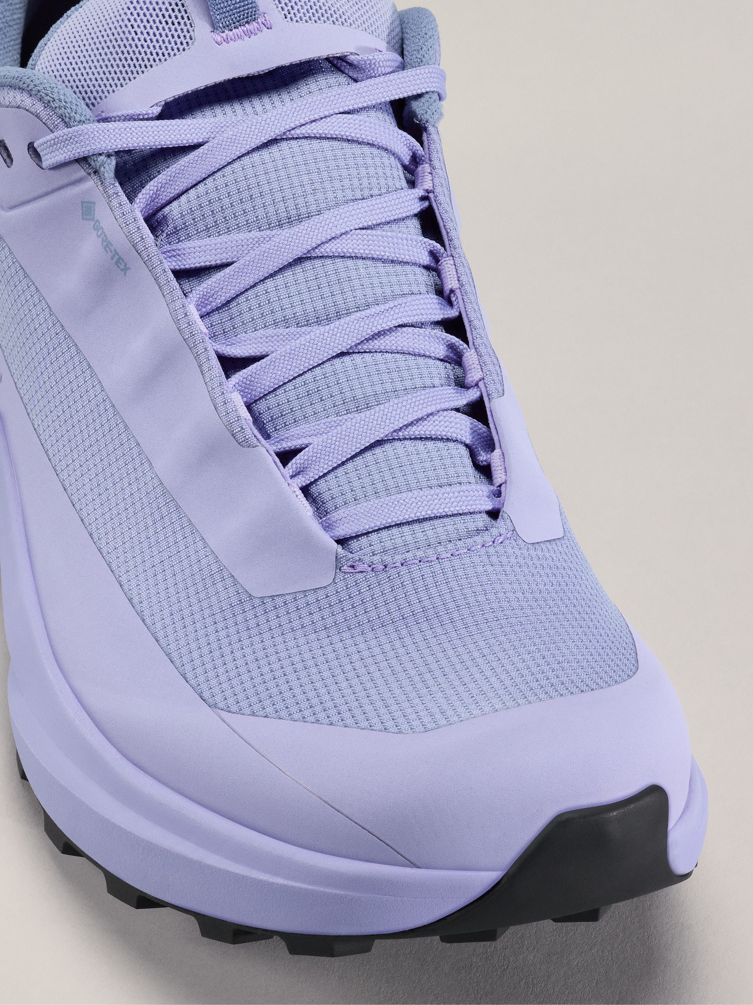 Norvan LD 4 GTX Shoe - 2