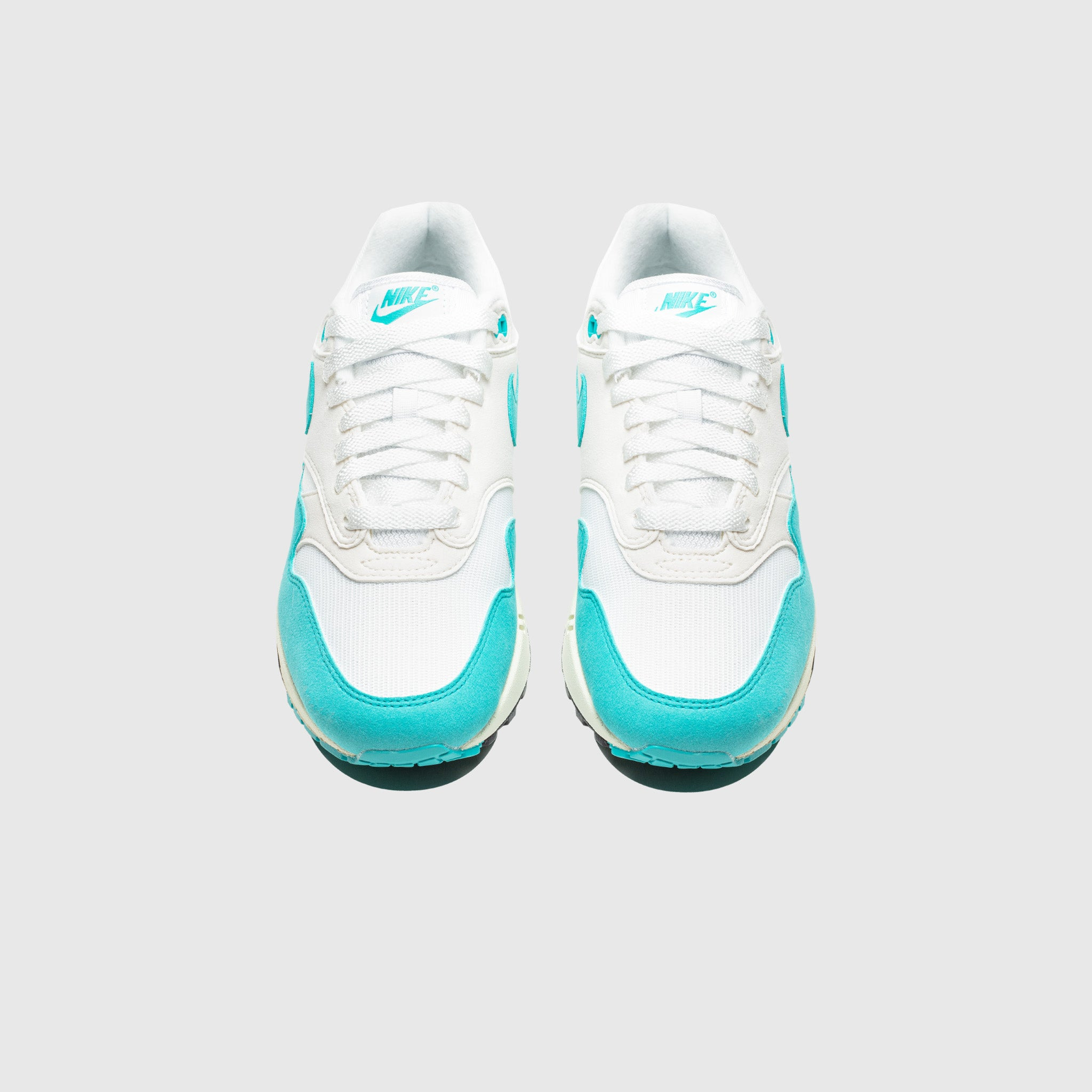 WMNS AIR MAX 1 "DUSTY CACTUS" - 3
