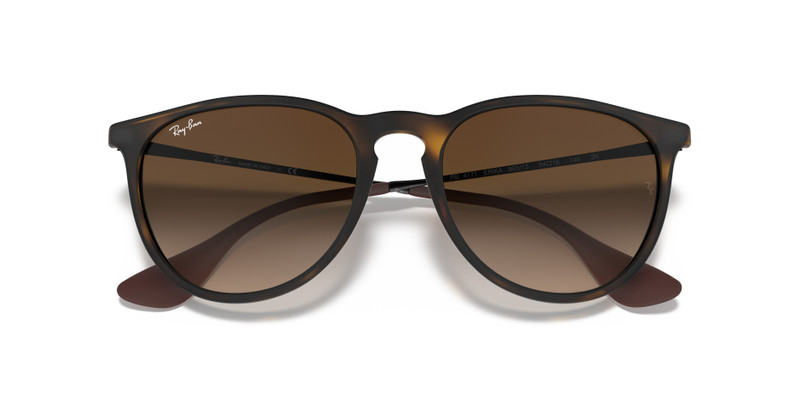 Ray-Ban ERIKA CLASSIC outlook