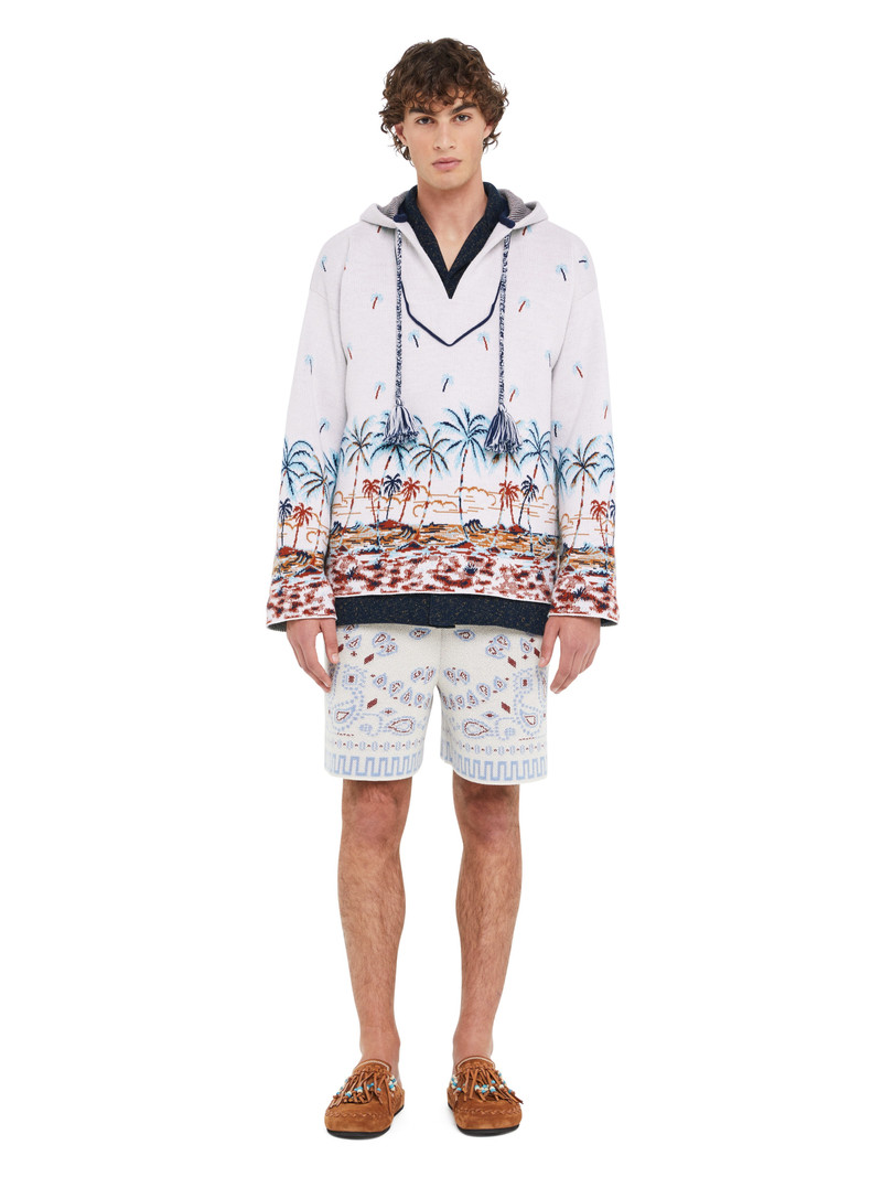 The Tale Of Hawaiian Hoodie 4