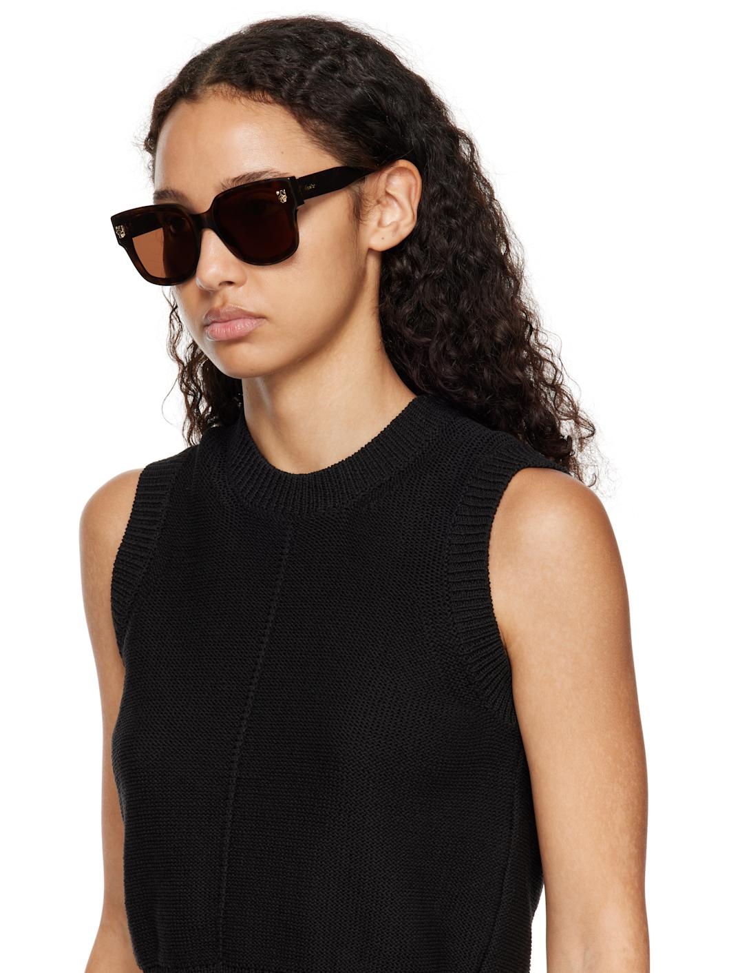 Brown & Black Panthère Wayfarer Acetate Sunglasses - 4