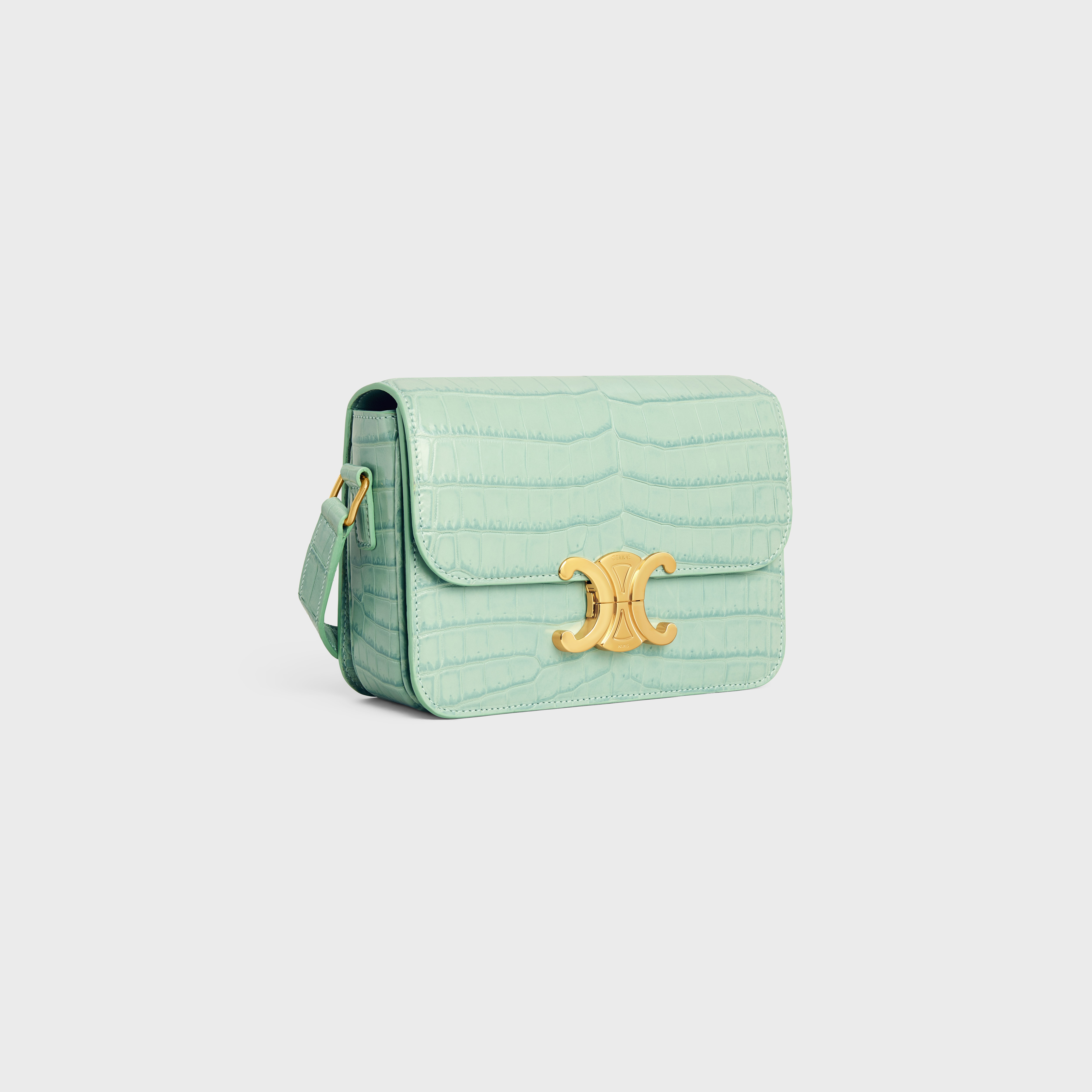 Teen Triomphe Bag in Crocodile - 2