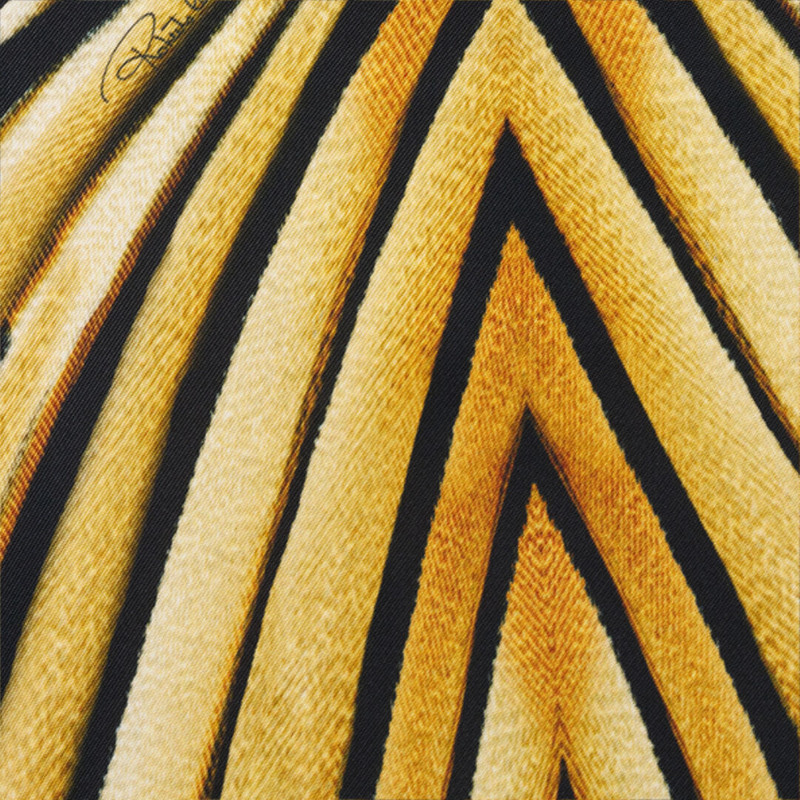 Ray Of Gold Print Dress 5