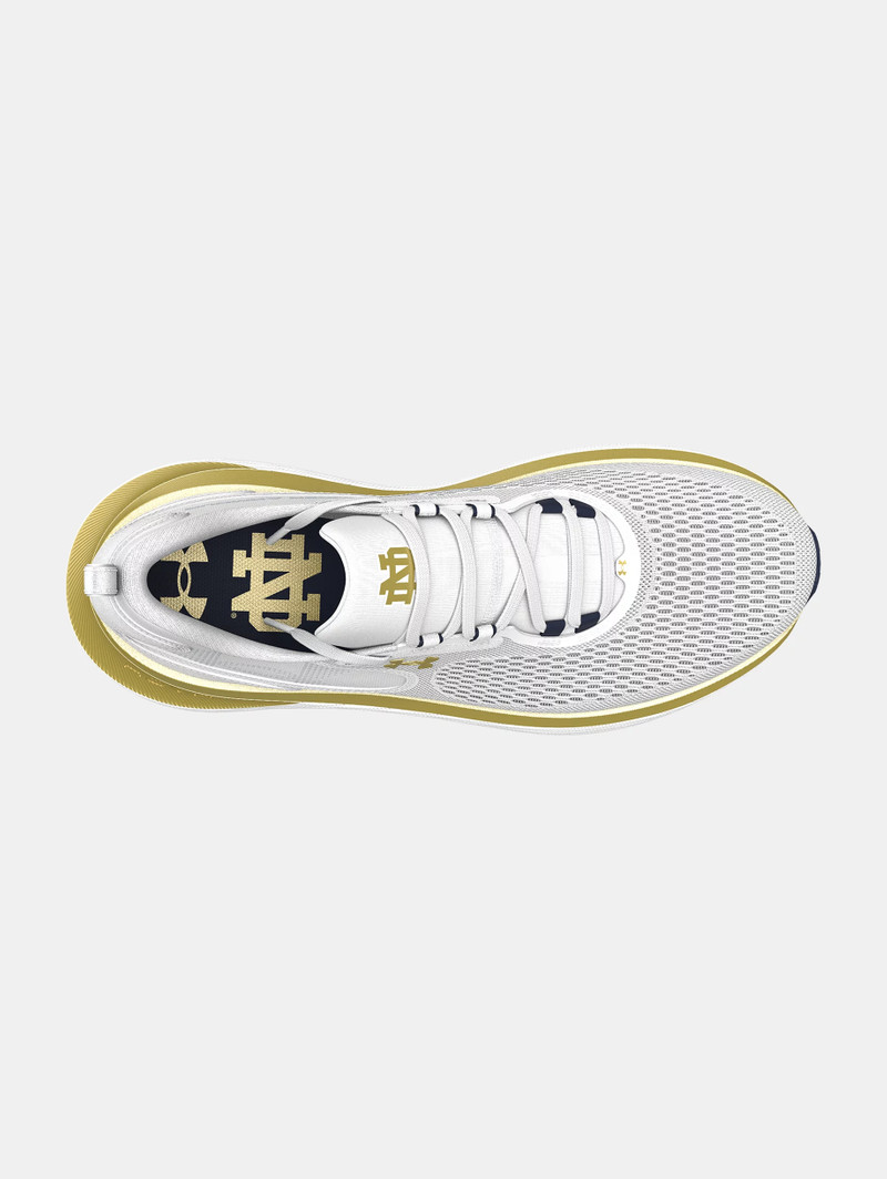 UA Infinite Elite 2 Collegiate 3