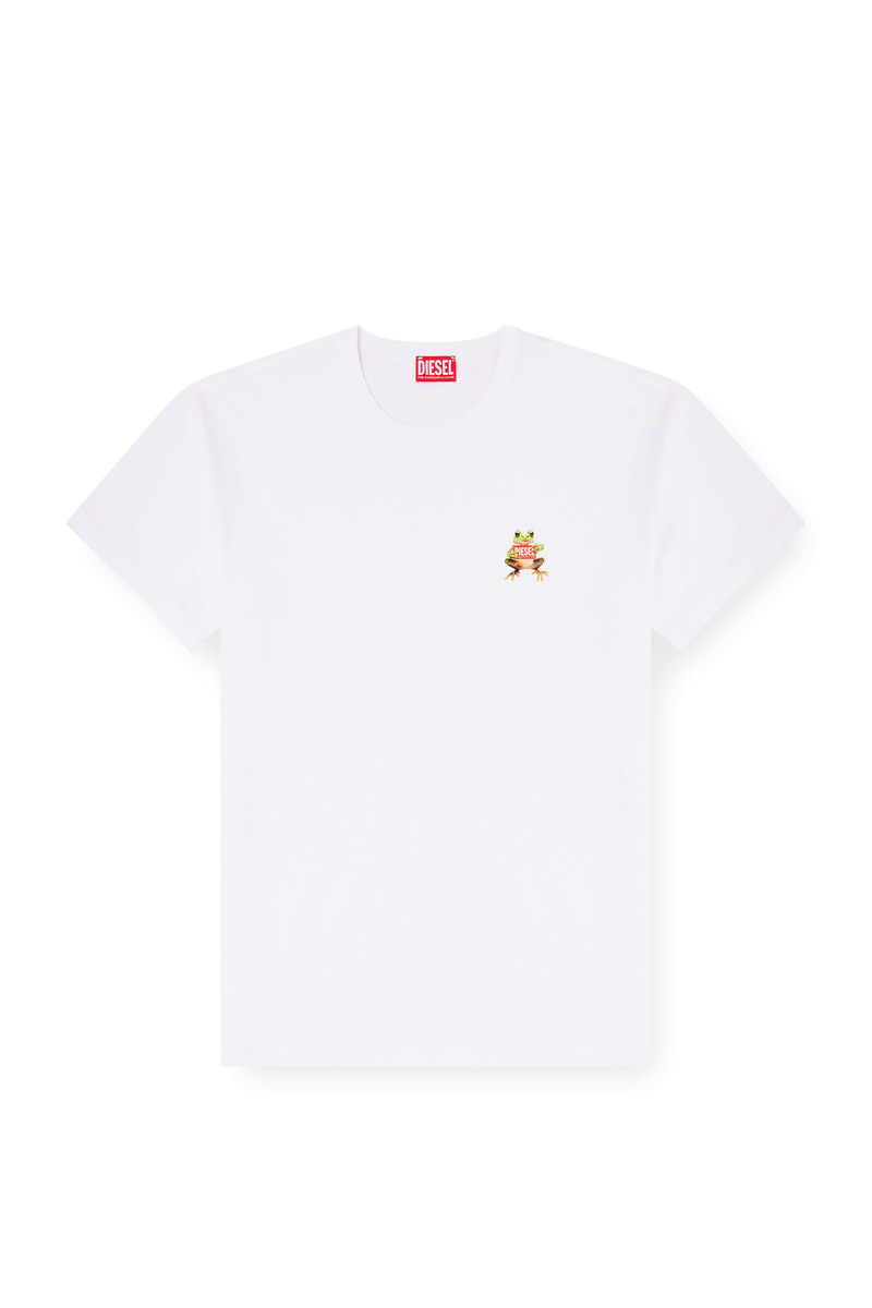 T-NORM-FROG 1