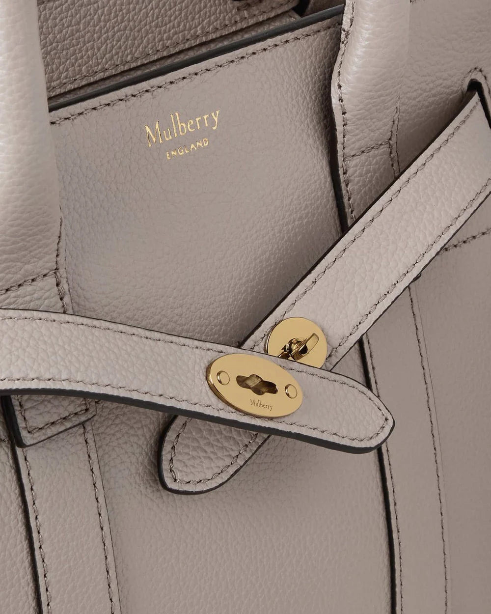 Mini Zipped Bayswater Cashmere Taupe Small Classic Grain - 5
