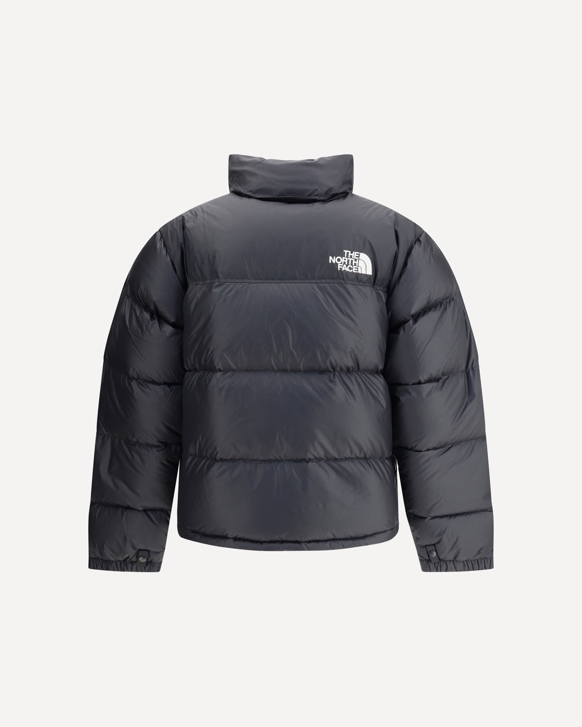 1996 Retro Nuptse Down Jacket - 2