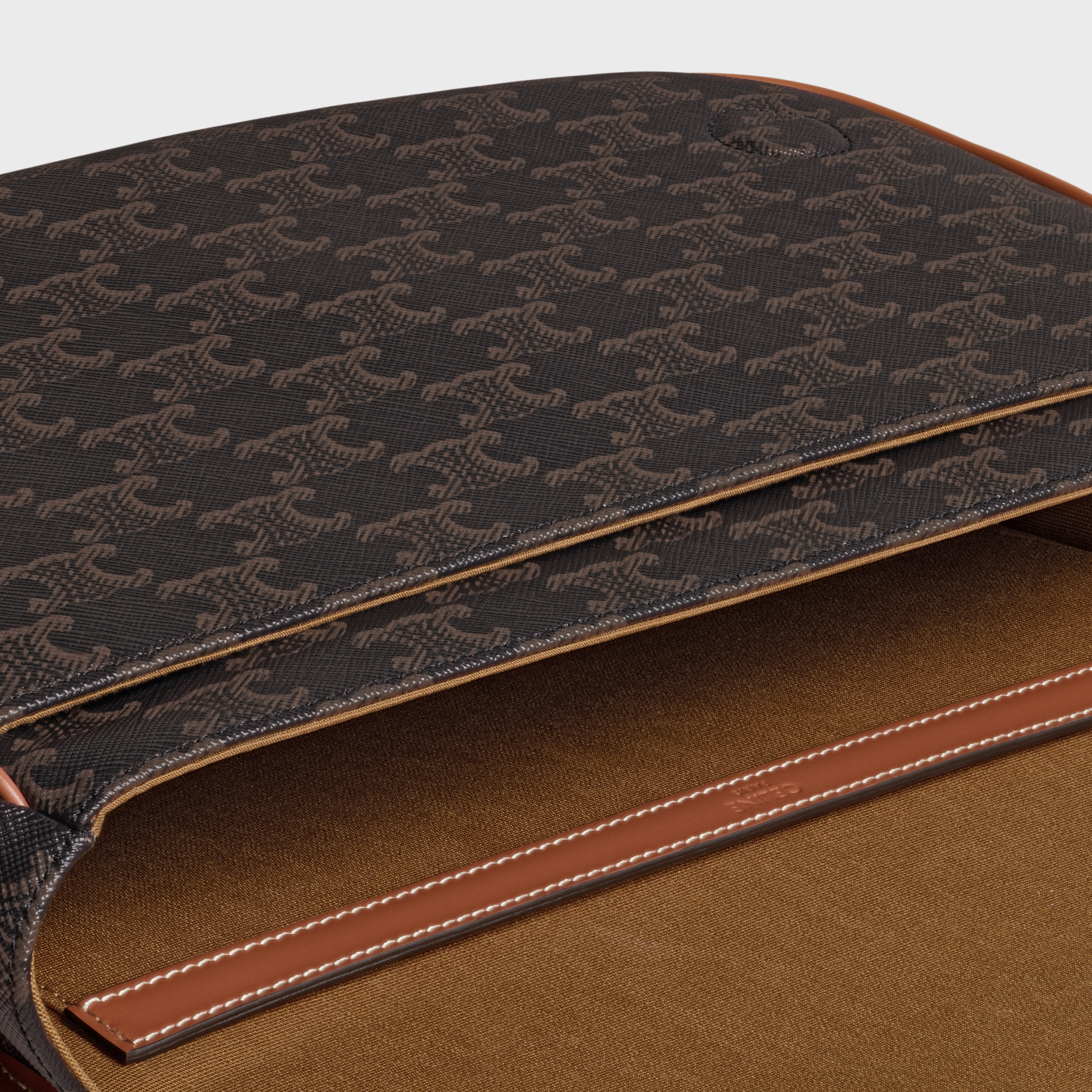 CELINE Messenger Folco in Triomphe Canvas with Celine print