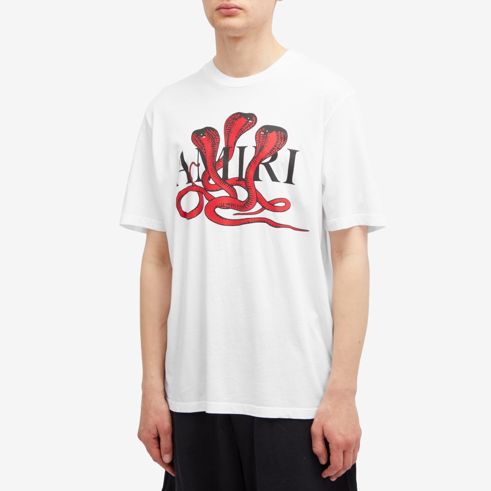 関税込【Amiri】CNY Snake T-Shirt 33271701~black_1732726616649_0.jpg