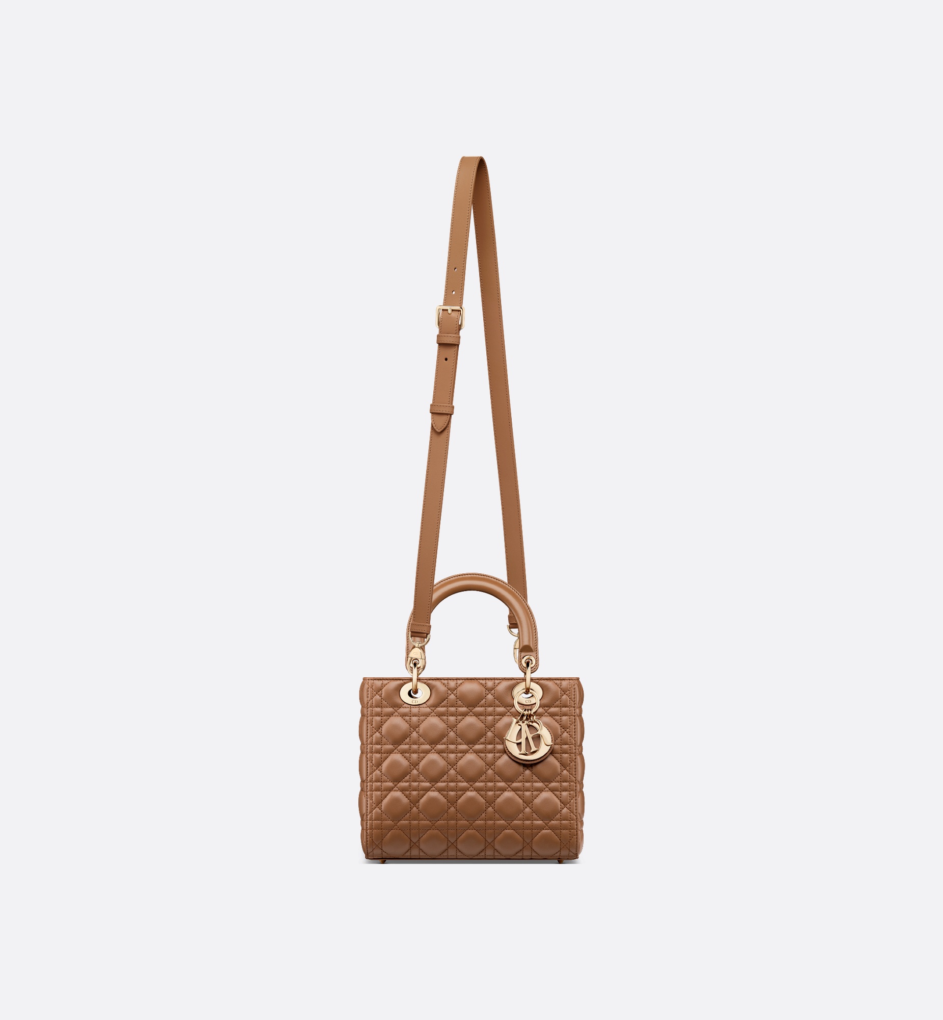 Medium Lady Dior Bag - 5