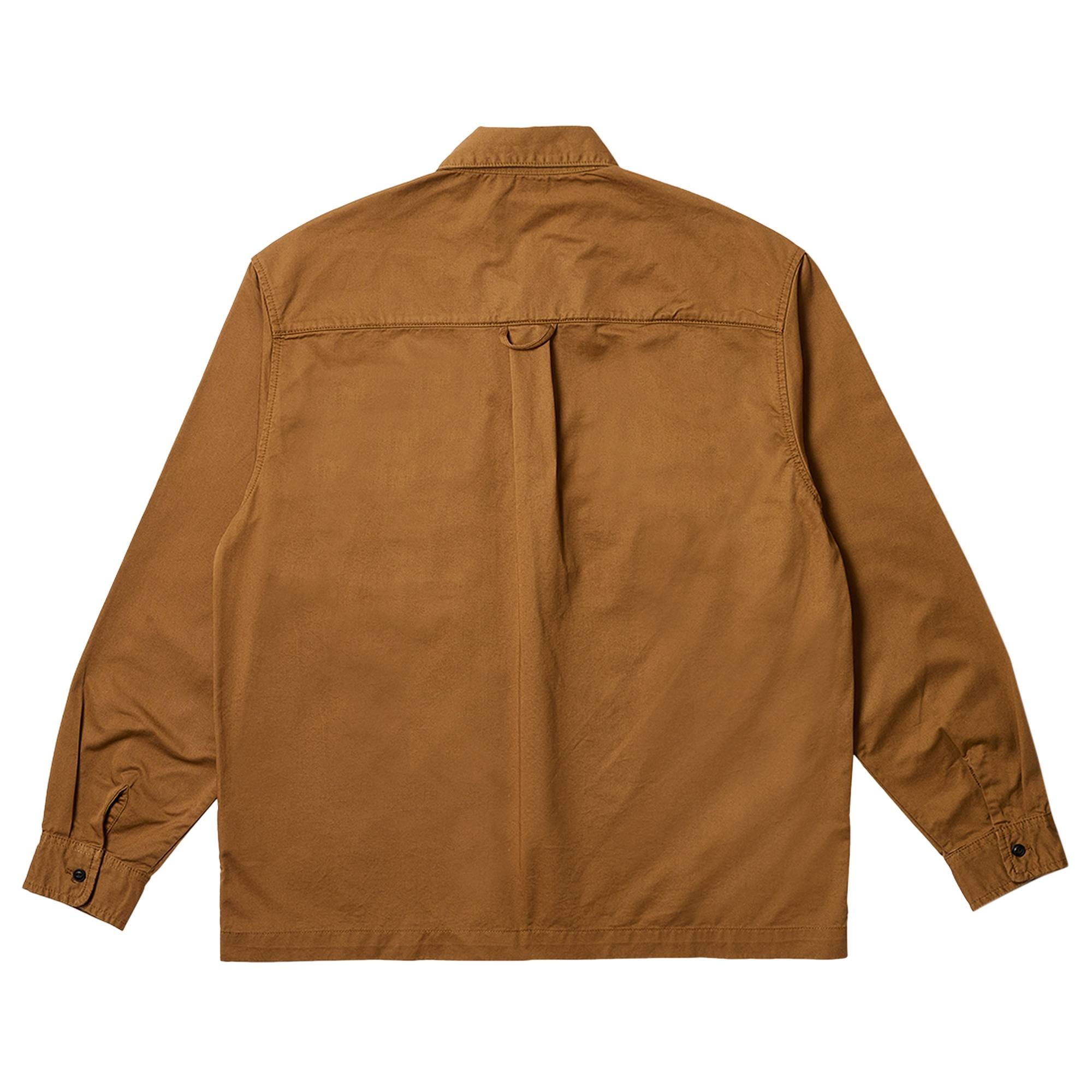 Carhartt WIP x Palace Long-Sleeve Master Shirt 'Hamilton Brown' - 2
