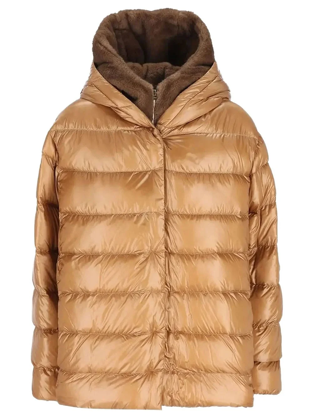 Padded Jacket with Zip - 1