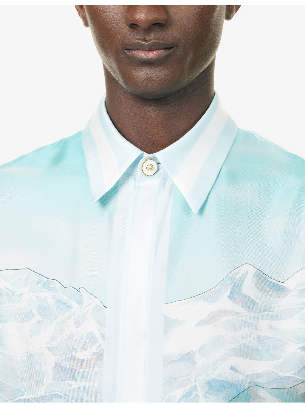 Dalmatian a la Montagne Classic Long-Sleeve Silk Shirt - 5