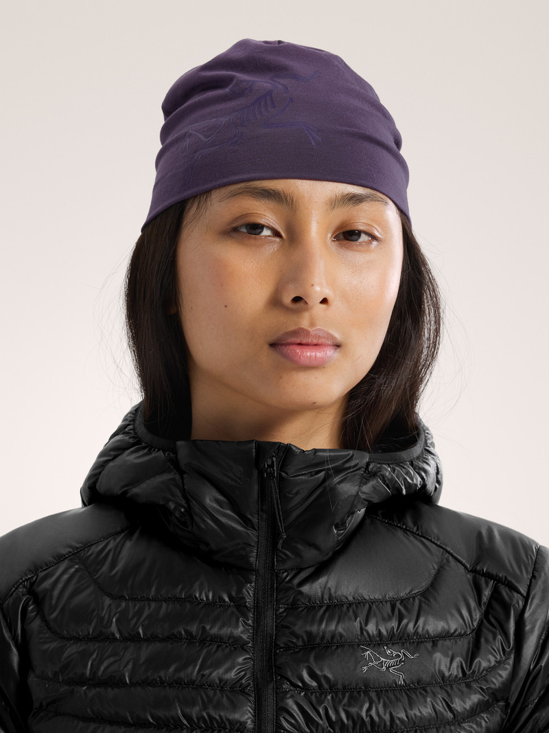 Arc'teryx Satoro Merino Toque outlook