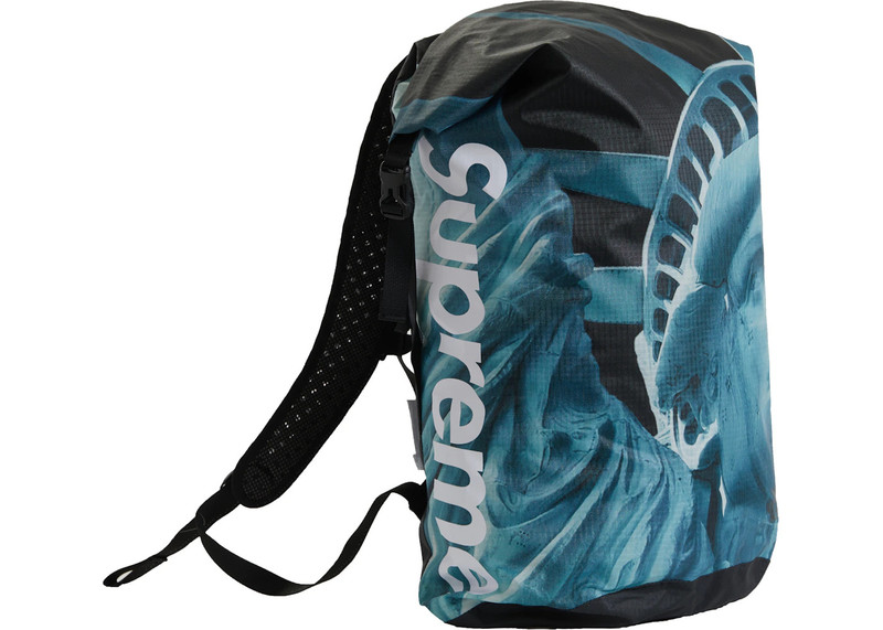 Supreme Supreme The North Face Statue of Liberty Waterproof Backpack Black outlook